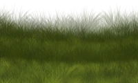 WEBP