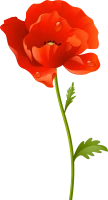 WEBP