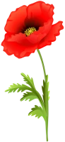 WEBP