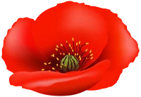 WEBP