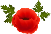 WEBP