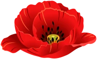 WEBP