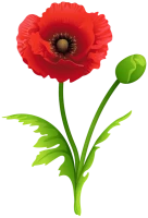WEBP
