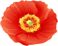 WEBP