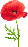 WEBP