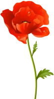 WEBP