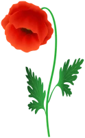 WEBP