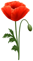 WEBP