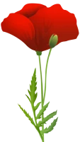 WEBP