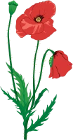 WEBP