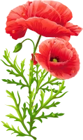 WEBP