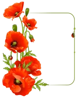 WEBP