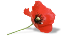 WEBP