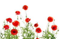 WEBP