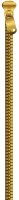WEBP