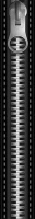 WEBP