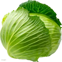 WEBP
