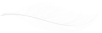WEBP