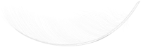 WEBP