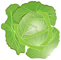WEBP