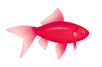 WEBP