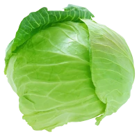 WEBP