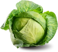 WEBP