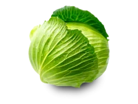 WEBP
