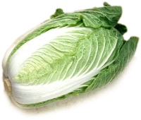 WEBP