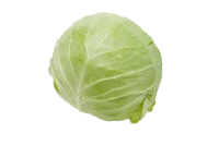 WEBP