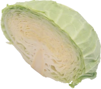 WEBP