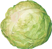 WEBP