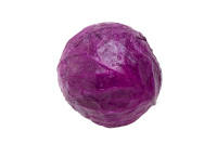 WEBP