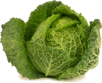 WEBP