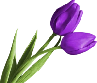 WEBP