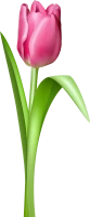 WEBP