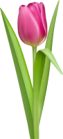 WEBP