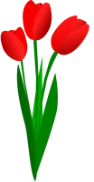 WEBP