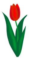 WEBP