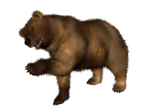 WEBP