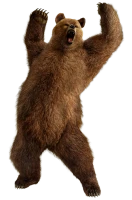 WEBP