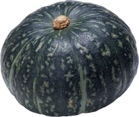 WEBP