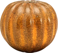 WEBP
