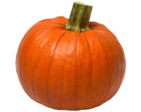 WEBP