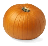 WEBP