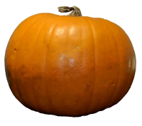WEBP