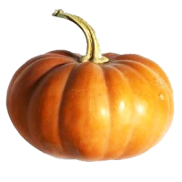 WEBP