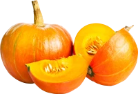 WEBP