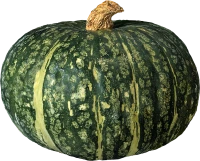 WEBP