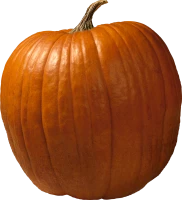 WEBP